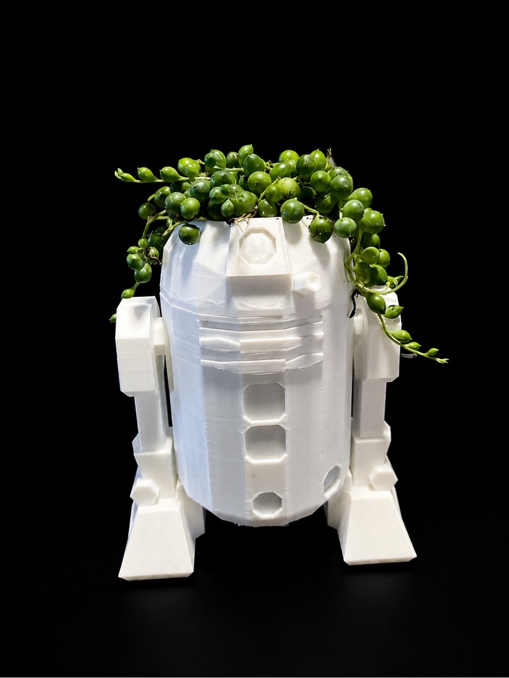 White R2-D2 Style Planter with Green String of Pearls
